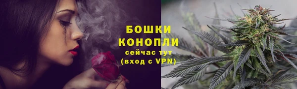 мдпв Осинники