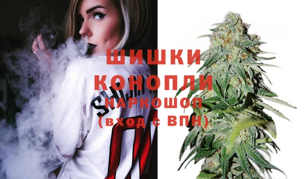 ПСИЛОЦИБИНОВЫЕ ГРИБЫ Осташков