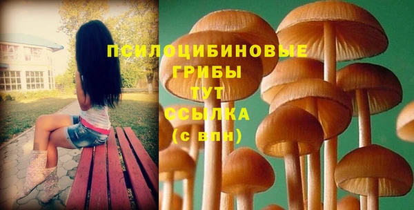 МДПВ Няндома