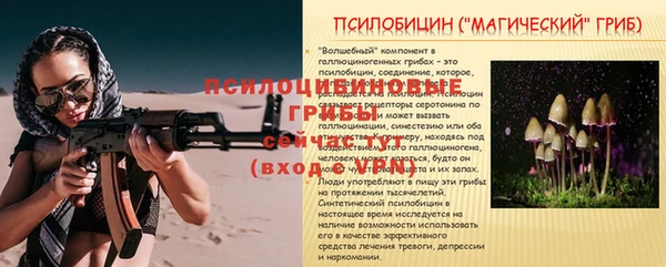 мдпв Осинники