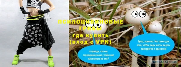 ПСИЛОЦИБИНОВЫЕ ГРИБЫ Осташков
