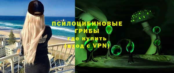 ПСИЛОЦИБИНОВЫЕ ГРИБЫ Осташков
