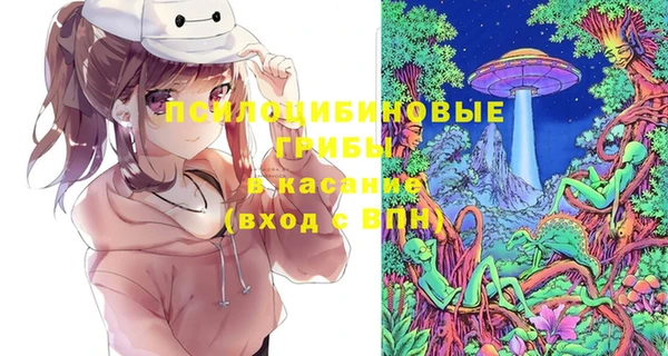 мдпв Осинники